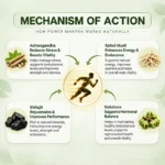 Divyaveda Power Mantra Men's Stamina Capsules mechanism of action